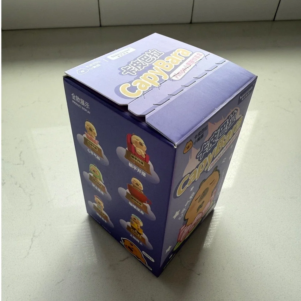 Sunny & Sandy CapyBara PIMOO Blind Box Sealed Collectible Figure 1 Random Toy